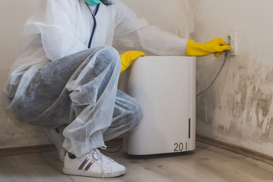 Osuszacz powietrza do zalanego domu i mieszkania