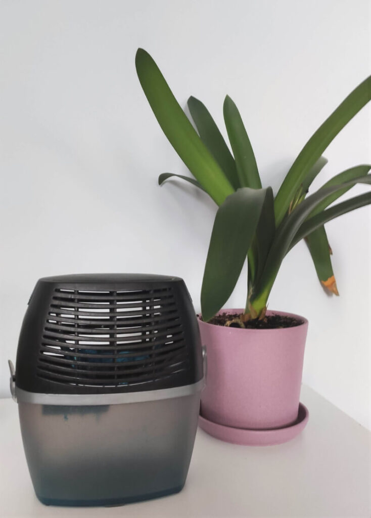 Pochłaniacz wilgoci do domu