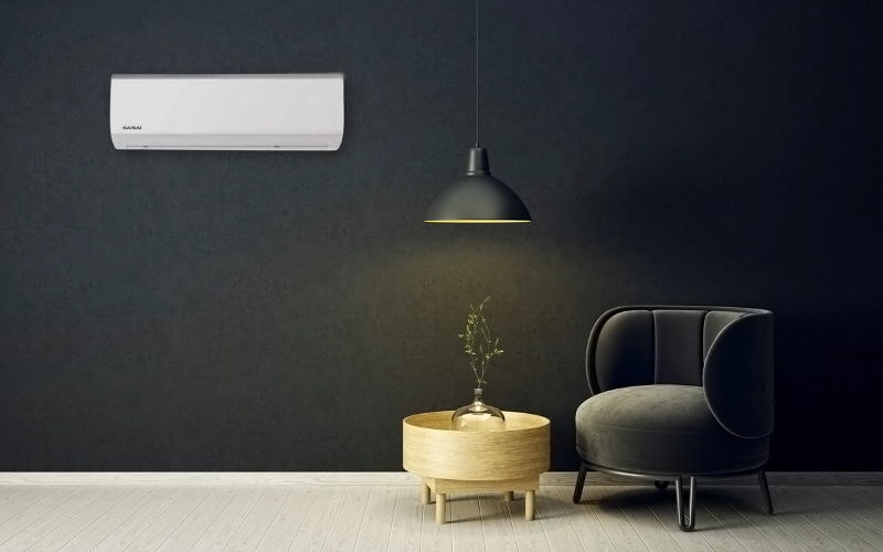 Kaisai Fly na tle czarnej ściany