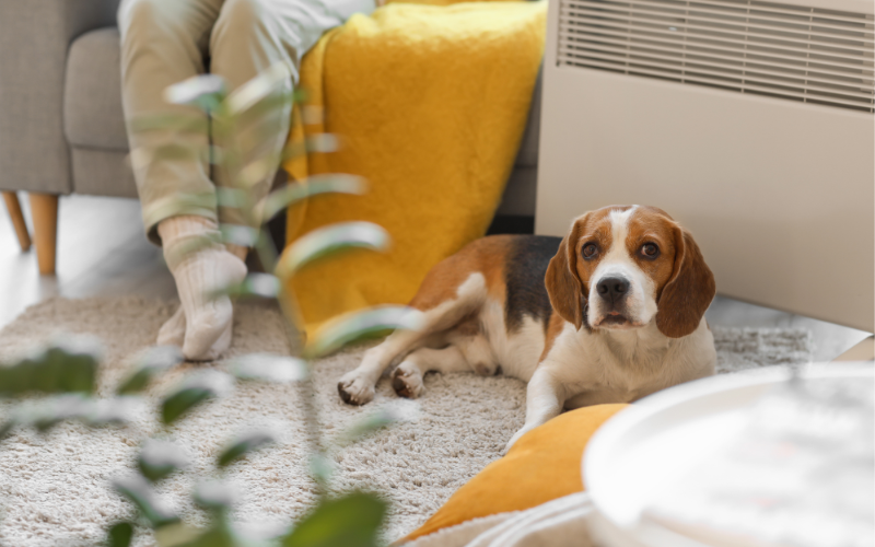 Grzejnik konwektorowy w salonie