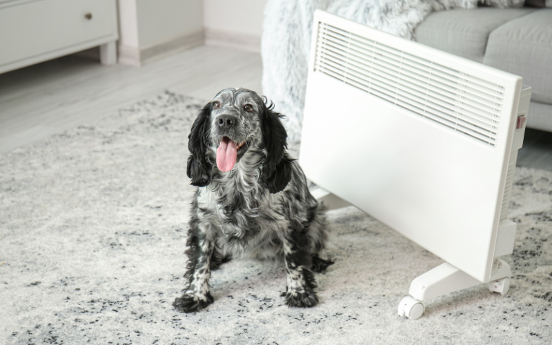 Grzejnik konwektorowy w domu