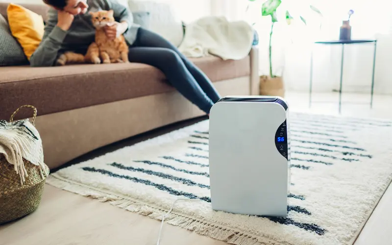 Jak działa osuszacz powietrza