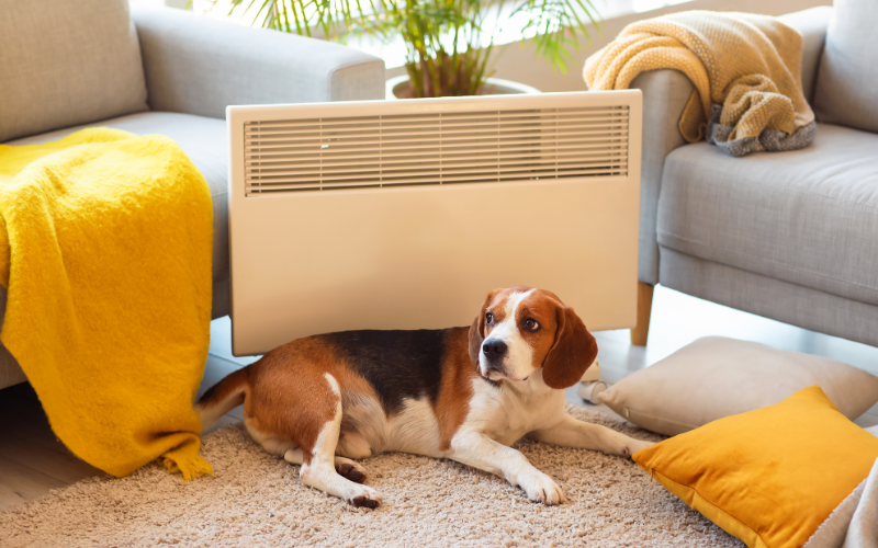 Grzejnik konwektorowy