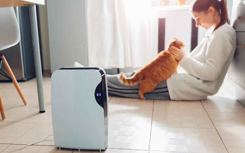 Osuszacz kondensacyjny w domu